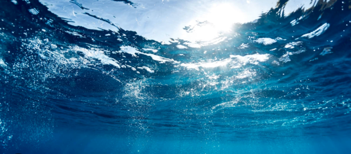 Water and life origins